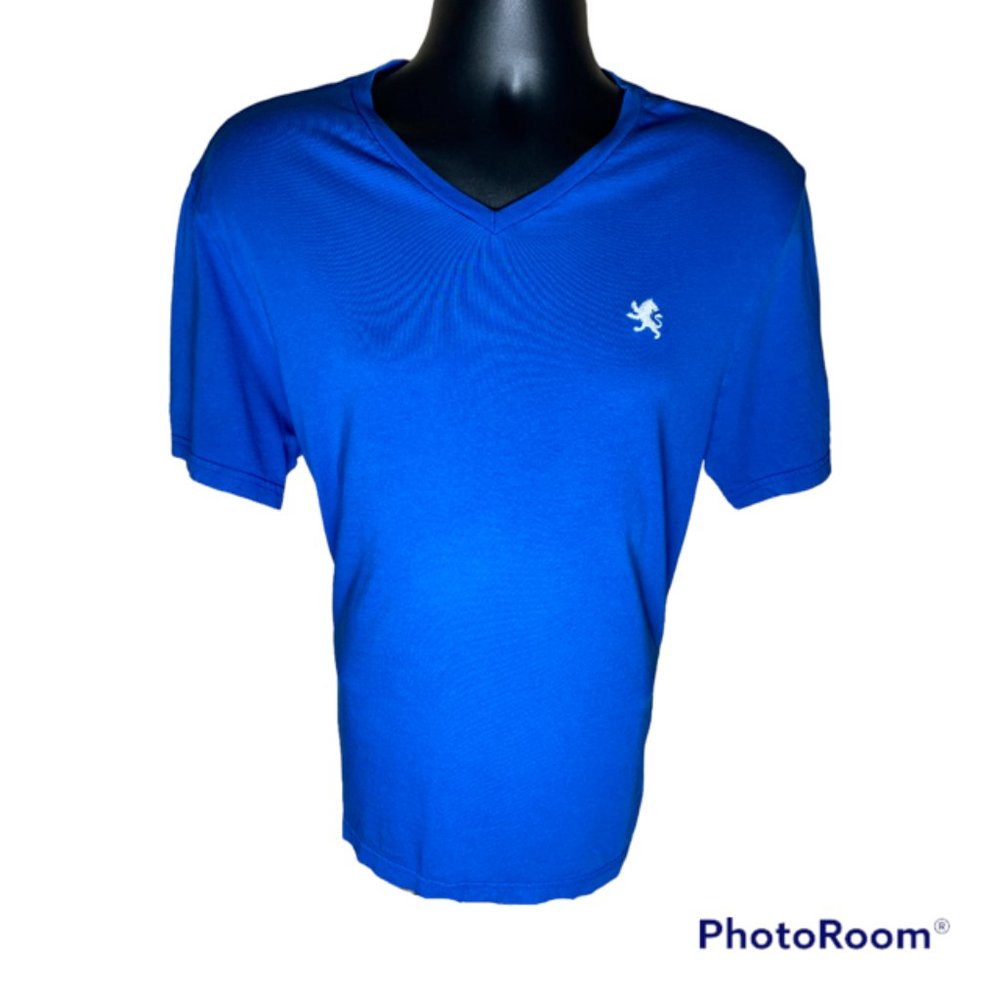 Blue Express Men's Vneck Tee Shirt